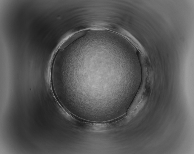 X0000087701196200705111357