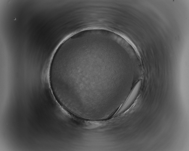 X0000087701197200705111357