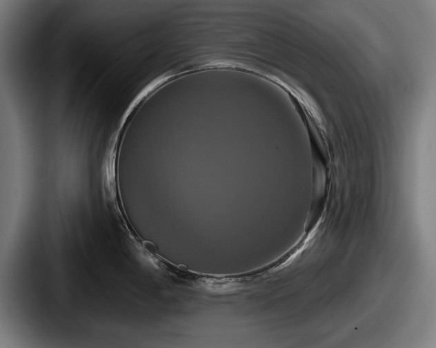 X0000087701198200705111357