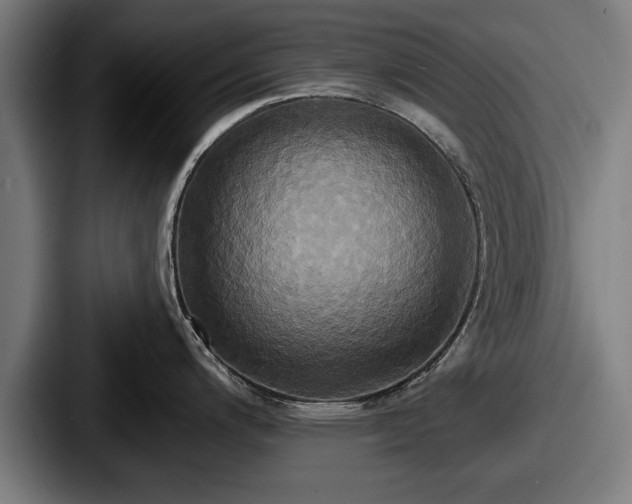 X0000087701200200705111357