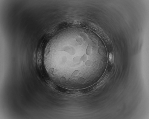 X0000087701203200705111357