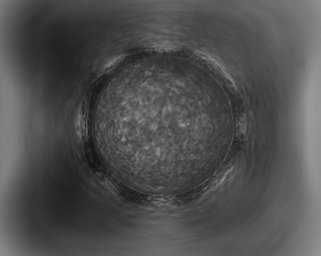 X0000087701205200705111357