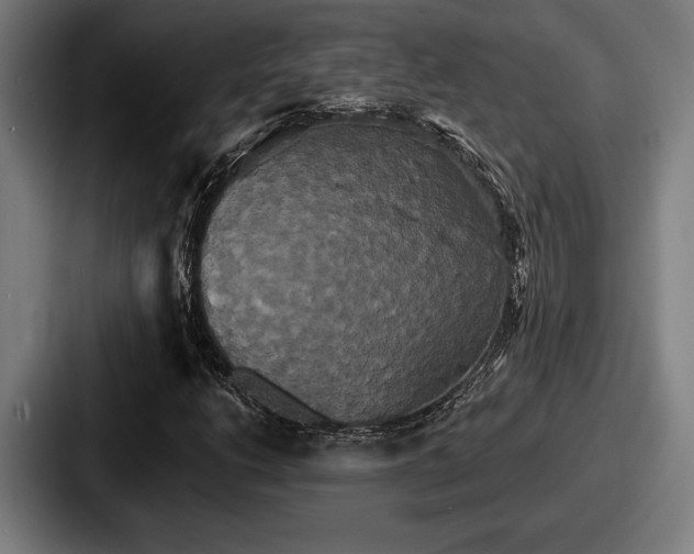 X0000087701206200705111357