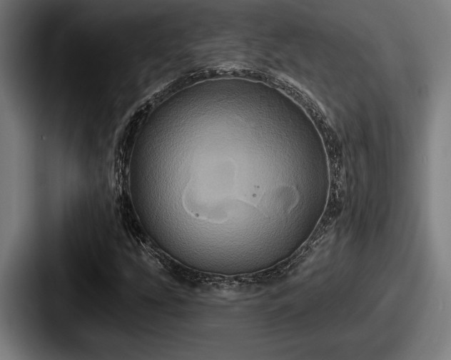 X0000087701207200705111357