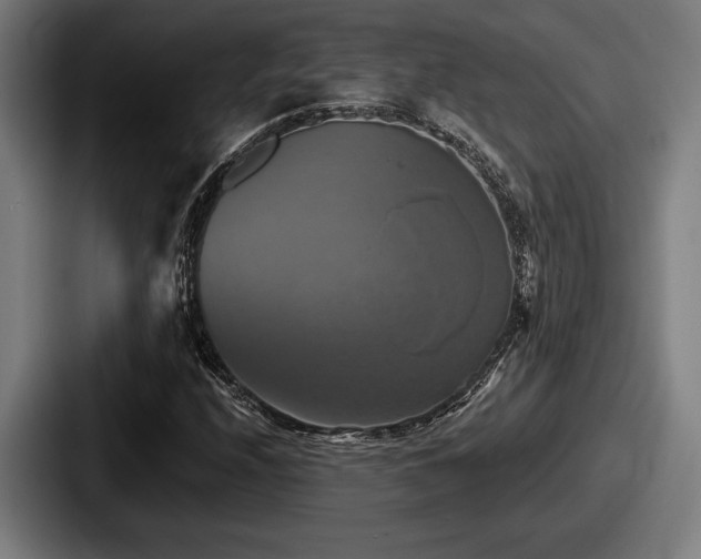 X0000087701208200705111357