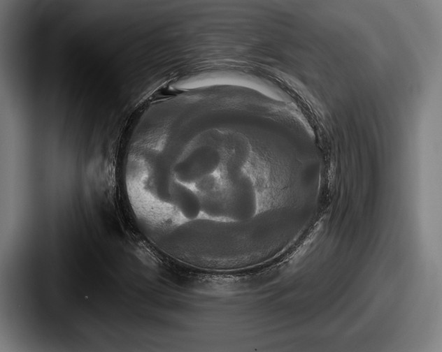 X0000087701209200705111357