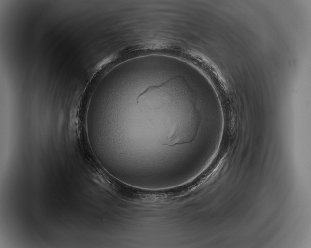 X0000087701210200705111357