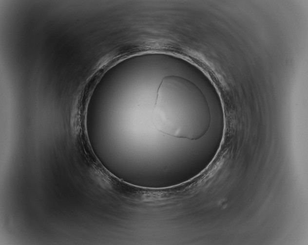 X0000087701211200705111357