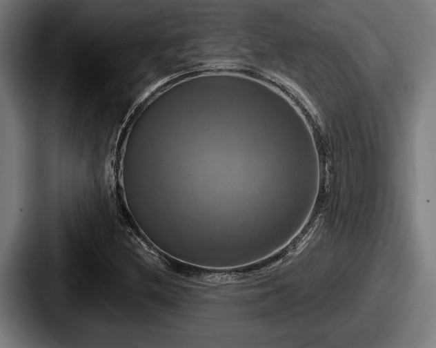 X0000087701212200705111357