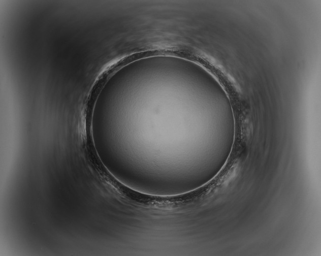 X0000087701214200705111357