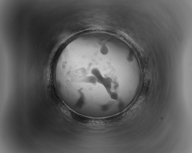 X0000087701215200705111357