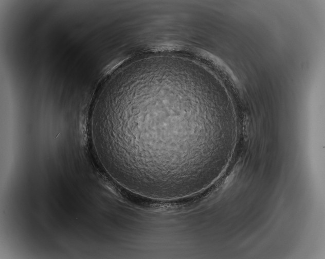 X0000087701217200705111357