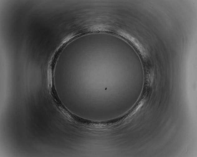 X0000087701219200705111357