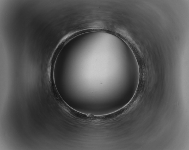 X0000087701222200705111357