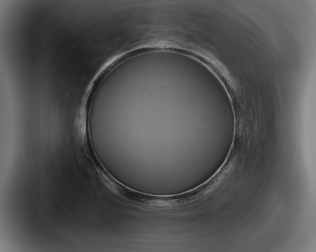 X0000087701224200705111357