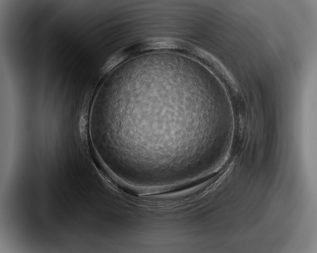 X0000087701225200705111357