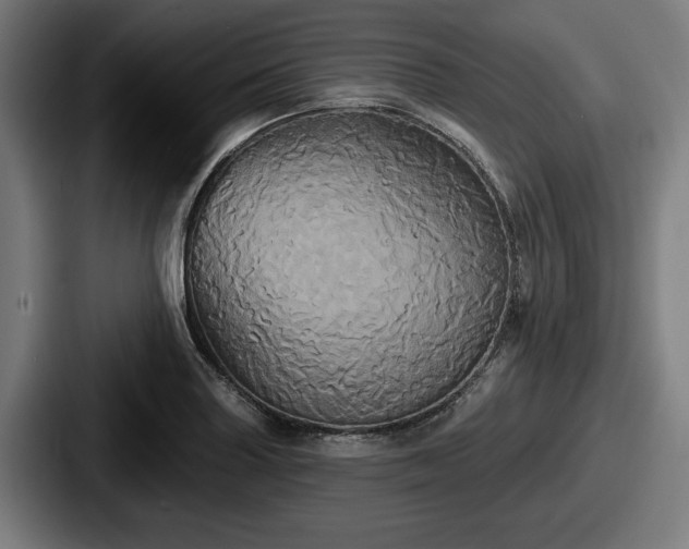 X0000087701227200705111357