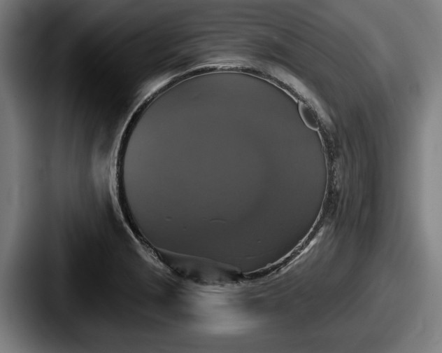 X0000087701229200705111357