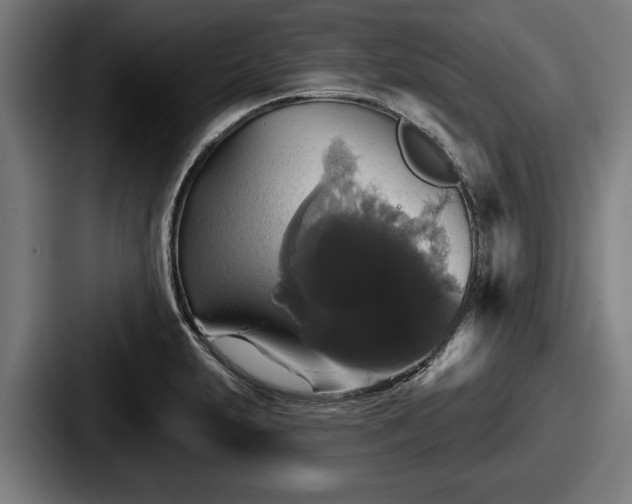 X0000087701231200705111357