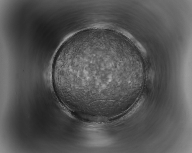 X0000087701232200705111357