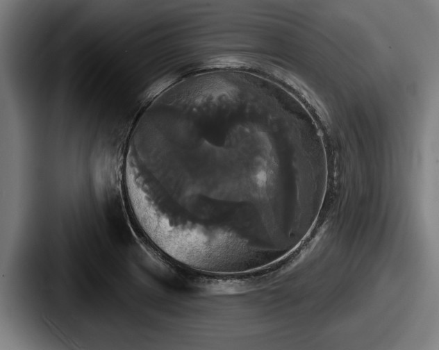 X0000087701233200705111357