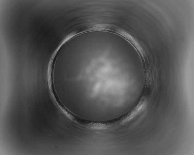 X0000087701235200705111357