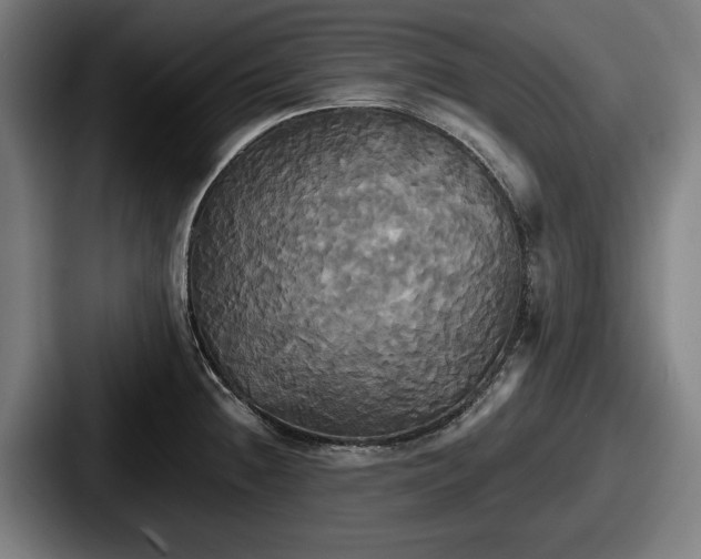 X0000087701236200705111357