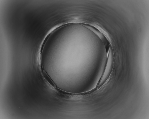 X0000087701238200705111357