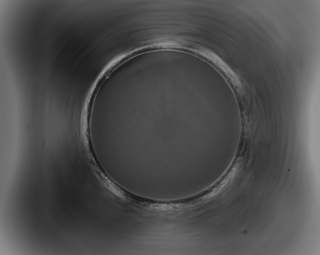 X0000087701240200705111357