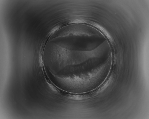 X0000087701241200705111357