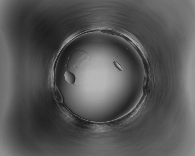 X0000087701242200705111357