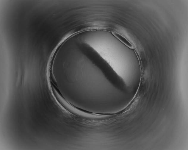 X0000087701243200705111357