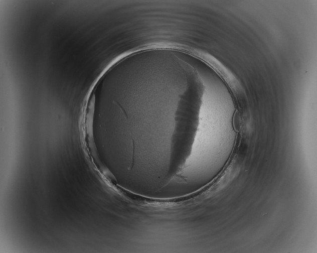 X0000087701244200705111357