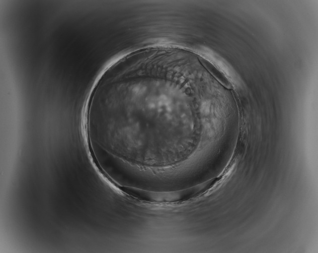 X0000087701247200705111357