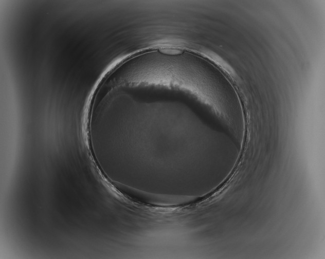 X0000087701248200705111357