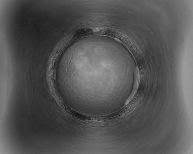 X0000087701249200705111357