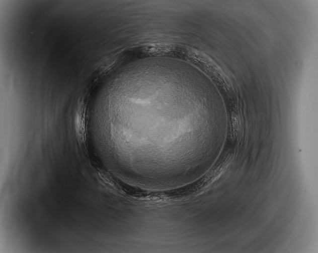 X0000087701250200705111357