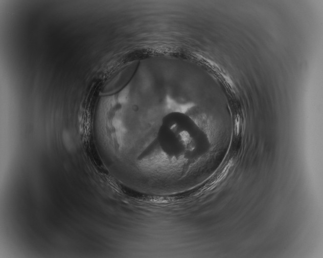 X0000087701251200705111357