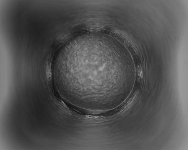 X0000087701252200705111357