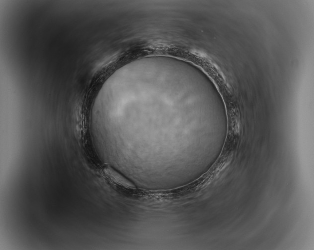 X0000087701253200705111357