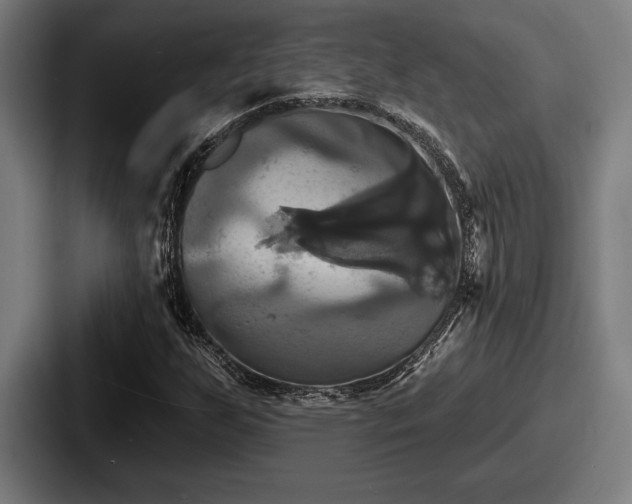 X0000087701255200705111357