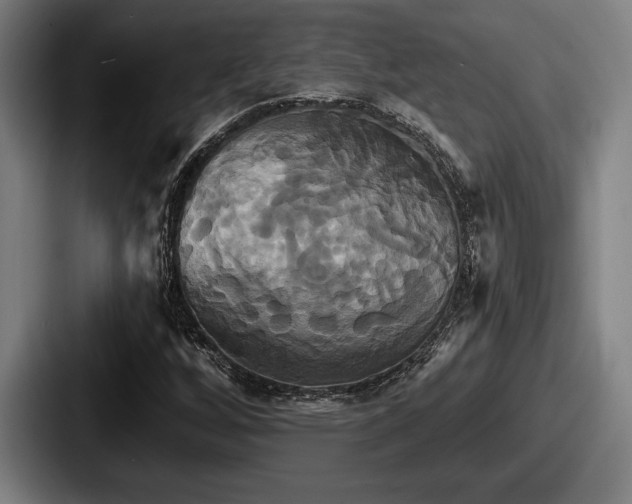 X0000087701256200705111357