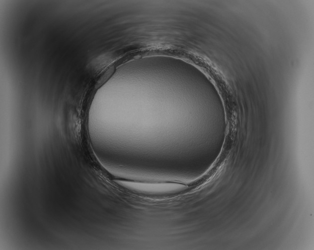 X0000087701257200705111356