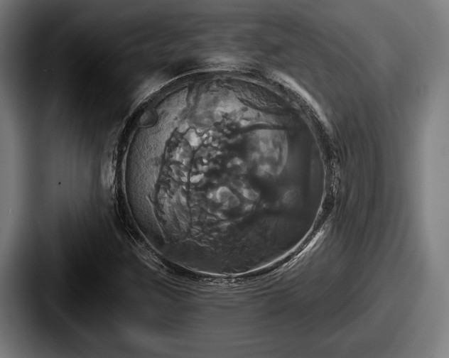 X0000087701259200705111356