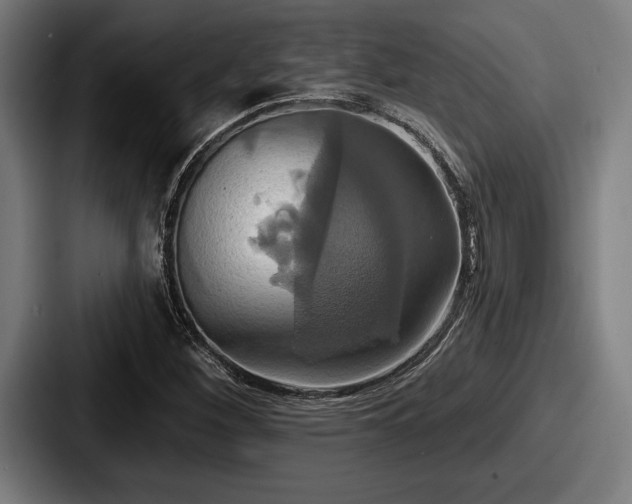 X0000087701260200705111356