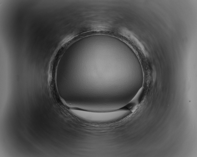 X0000087701261200705111356