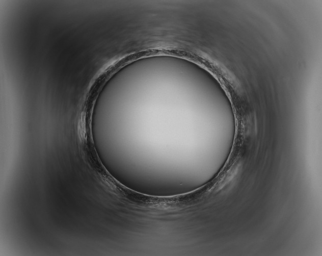 X0000087701262200705111356