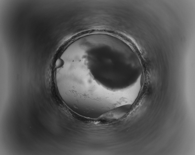 X0000087701263200705111356