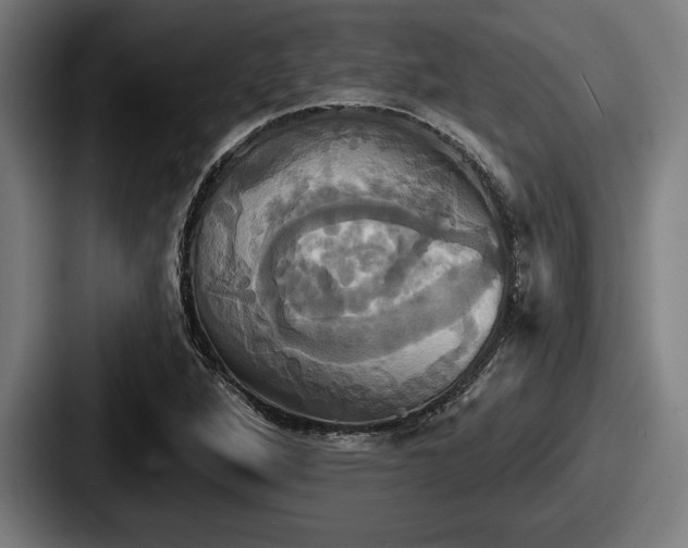 X0000087701264200705111356