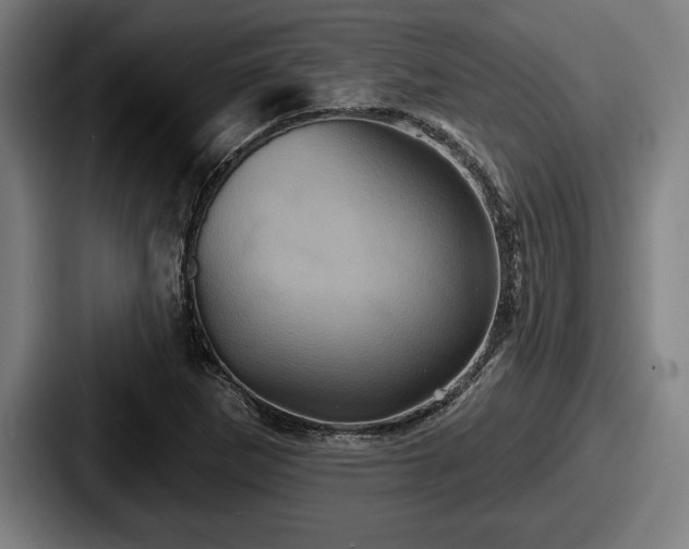 X0000087701265200705111356